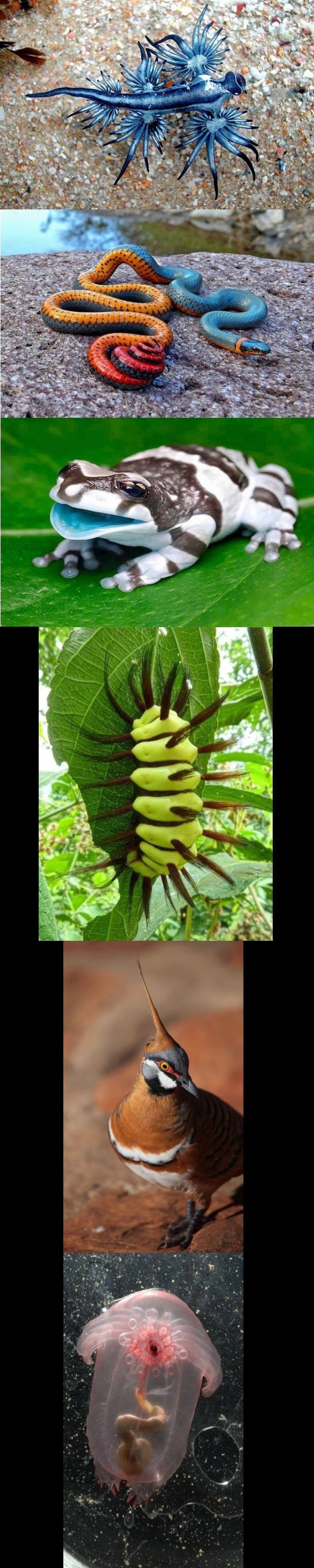 بدون شرح/ تصاویر