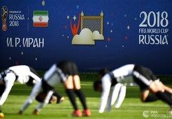 تفاوت ۵۹ دقیقه‌ای یوز‌ها و کانگورو‌ها