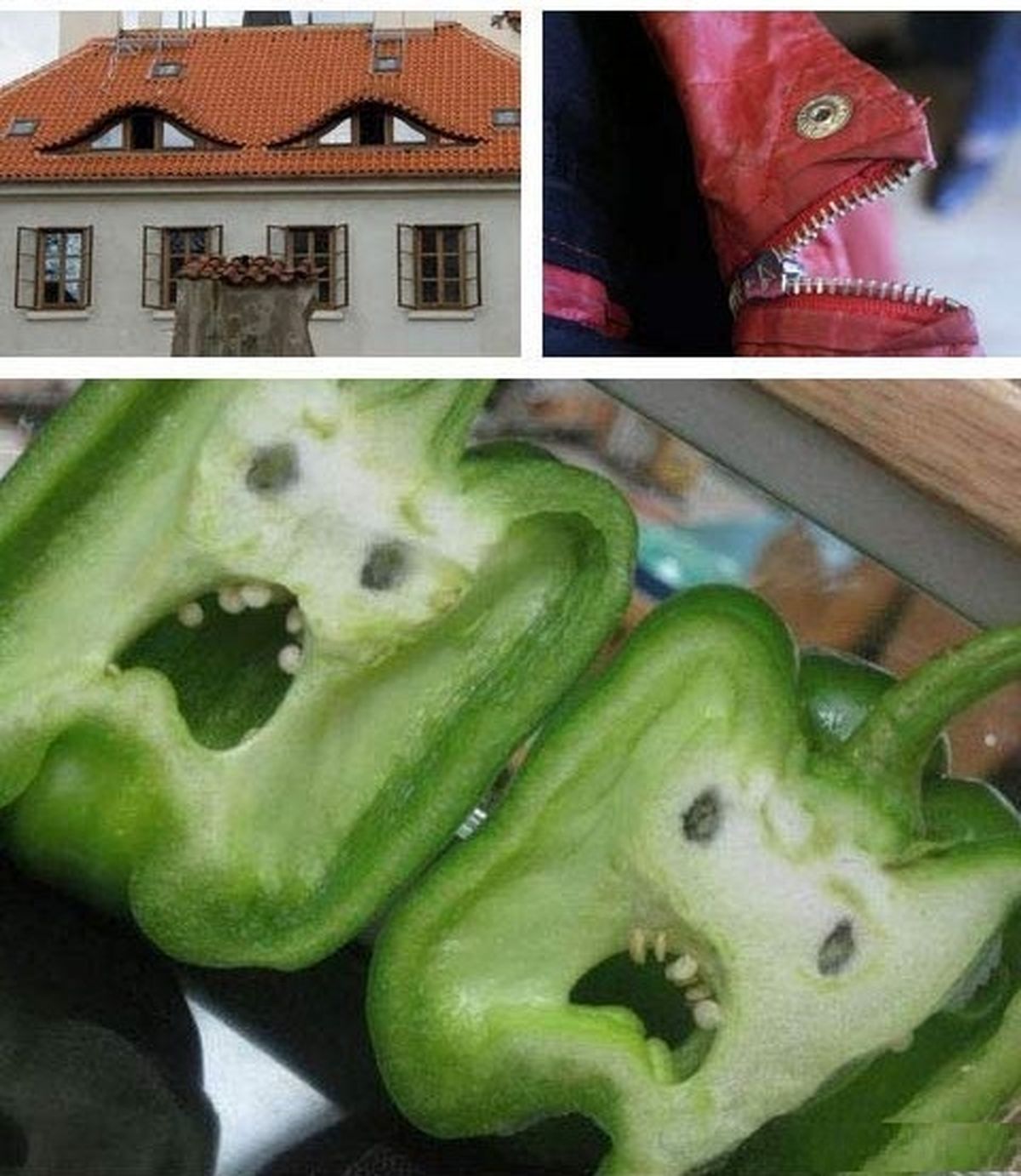 صورت های متفاوت!/عکس