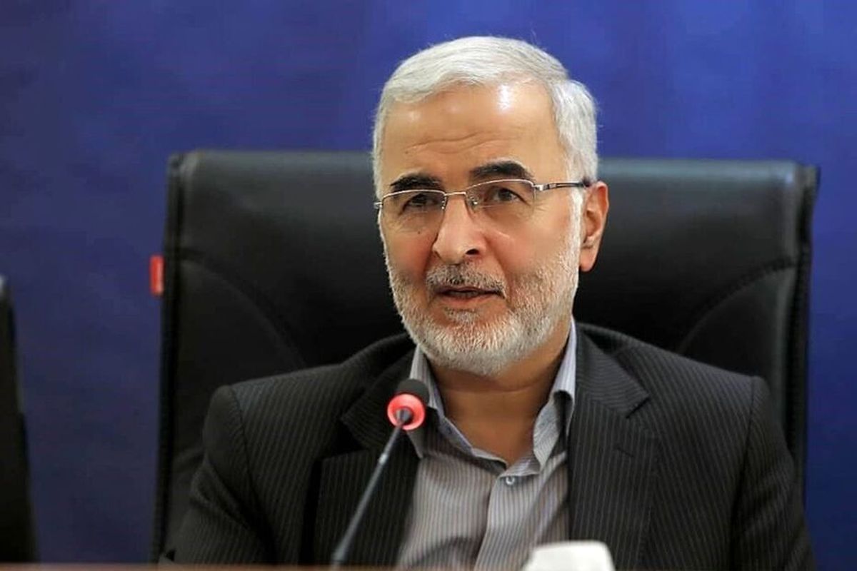 مومنی: اتباع مجاز از کشور اخراج نمی شوند