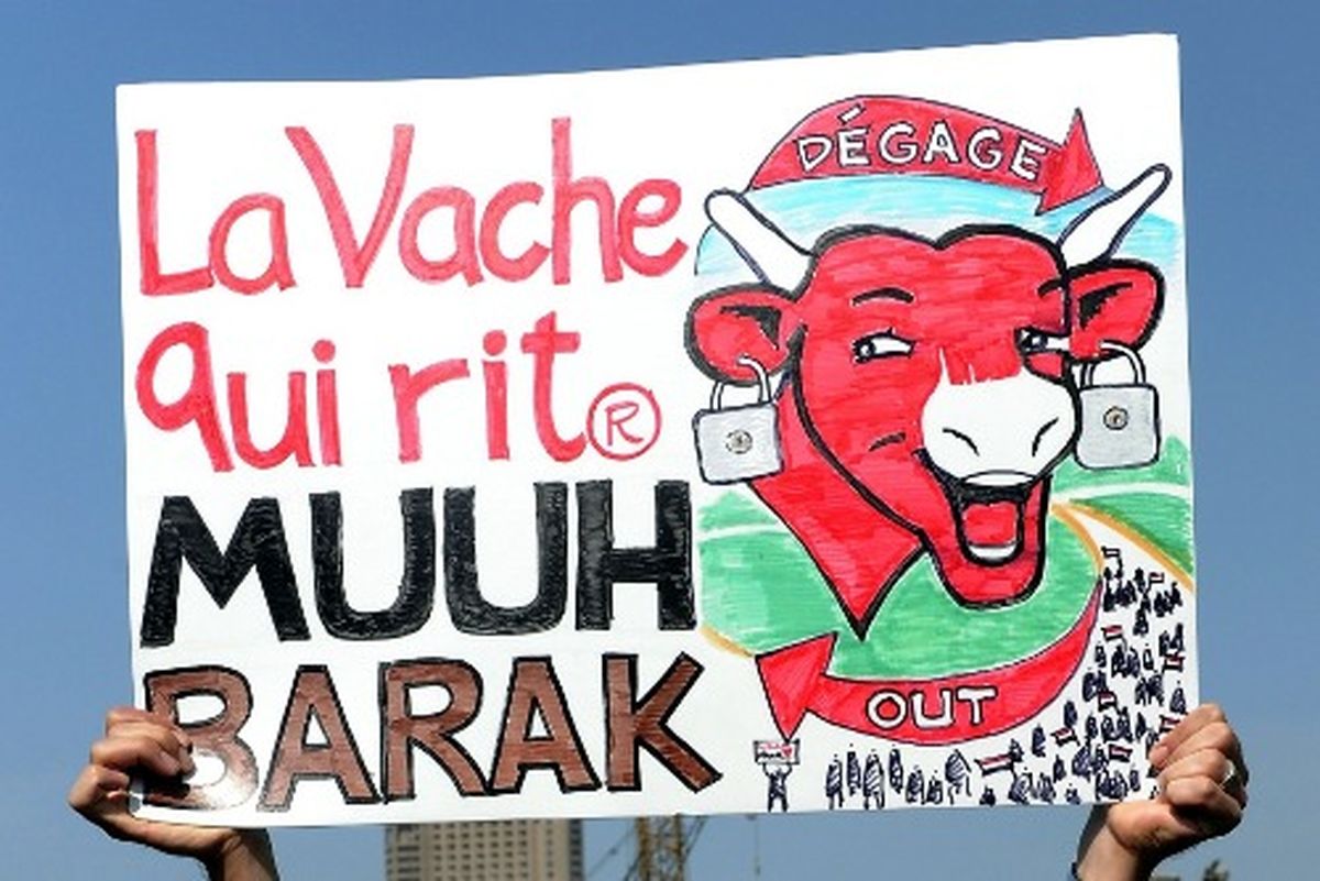 کاریکاتور‌ها و تصاویری از تظاهرات مردم مصر