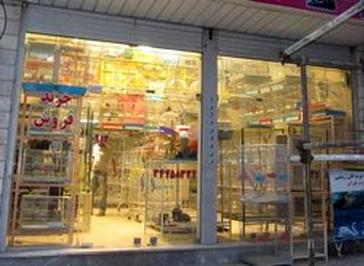 قاچاق غذای حیوانات در ساری