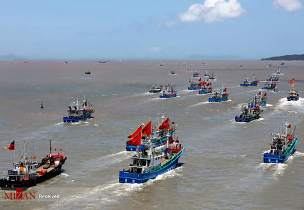 تصاویر: آغاز فصل ماهیگیری در چین