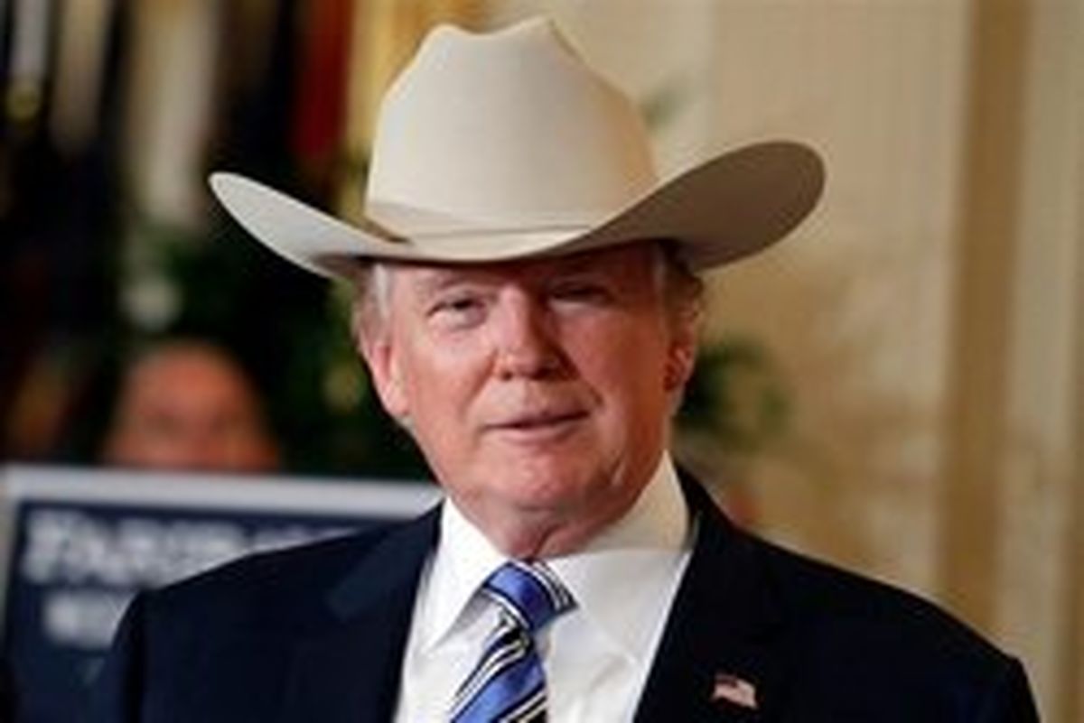 ترامپ: لازم باشد در مرز با مکزیک دیوار انسانی می‌سازیم