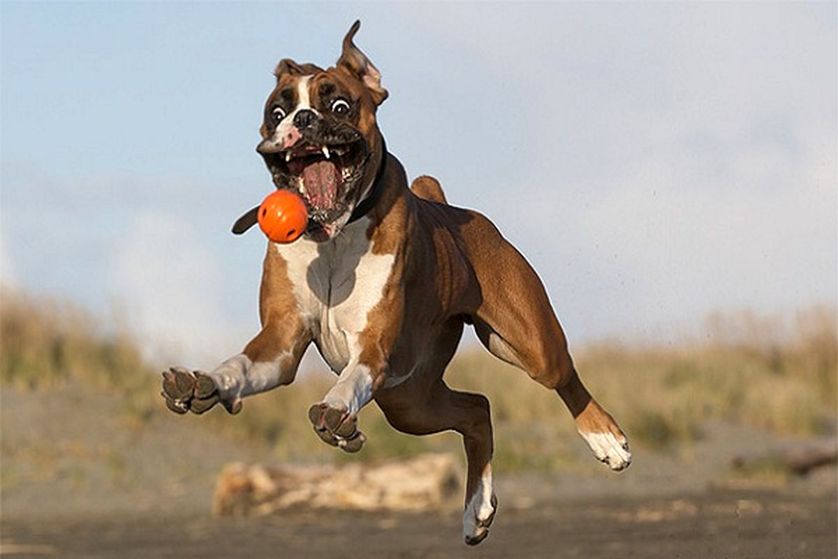 بدون شرح/عکس