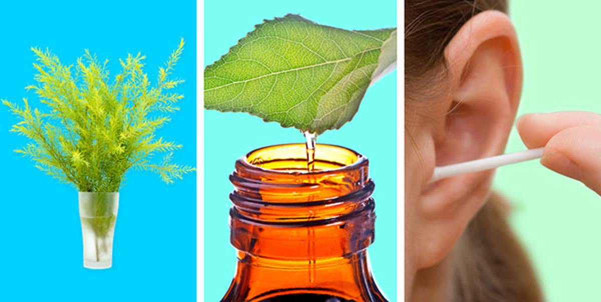 ۱۱ بهترین درمان‌های گیاهی و خانگی جوش داخل گوش