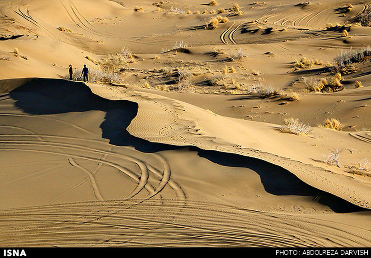 کویر ورزنه در بهار/ تصاویر