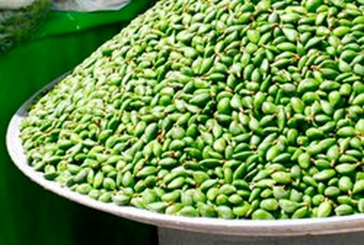 ۲۰ میلیون تومان درآمد با چرخ دستی چغاله