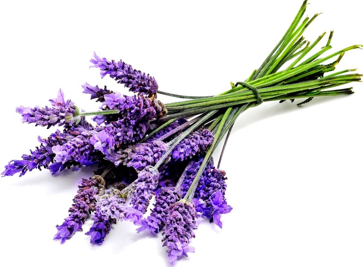 نوشیدنی‌ای برای رهایی از سردرد و اضطراب
