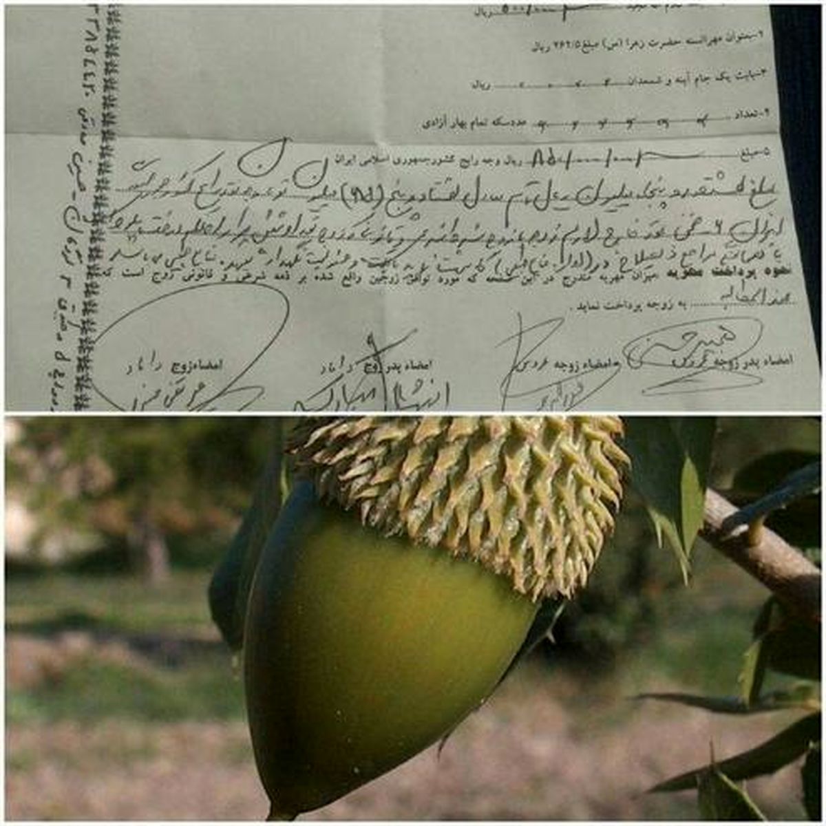 مهریه هایی که سوختند! +عکس