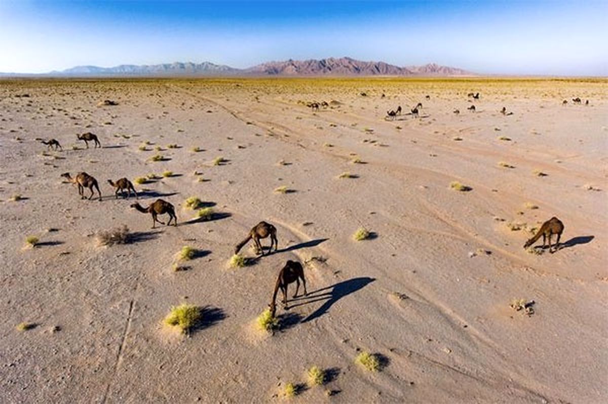 عکس نشنال جئوگرافیک از منطقه کویری طرود سمنان