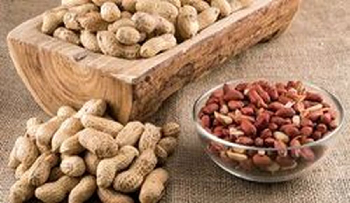 گزینه‌های غذایی که قلب را جوان نگه می‌دارند