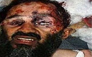 عکسی که همه دنیا را سر کار گذاشت
