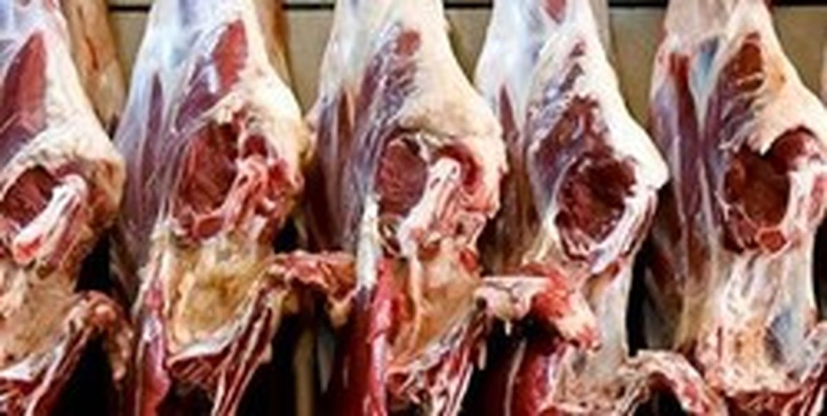 معمای توزیع گوشت/ بازار طعم فروش اینترنتی را نچشید