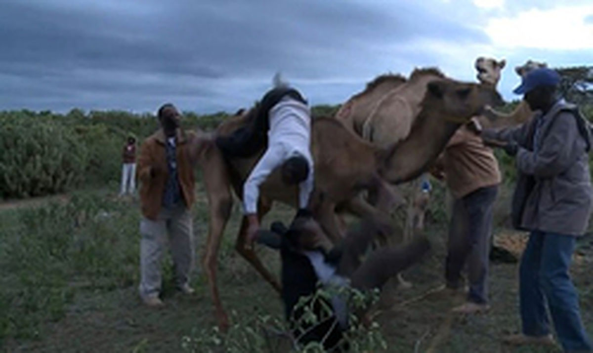 آقای خبرنگار در «دربی شتر» سوژه رسانه‌ها شد +تصاویر