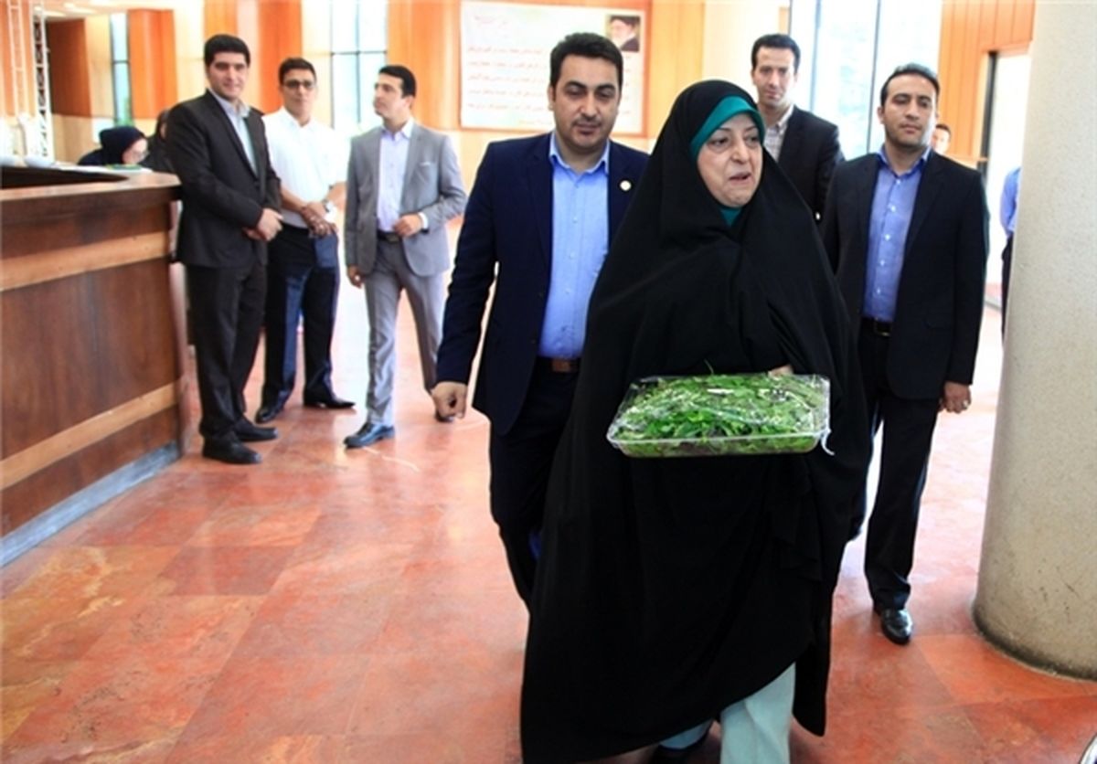 سبزی حیاط خانه مادر ابتکار صبحانه خبرنگاران شد +عکس