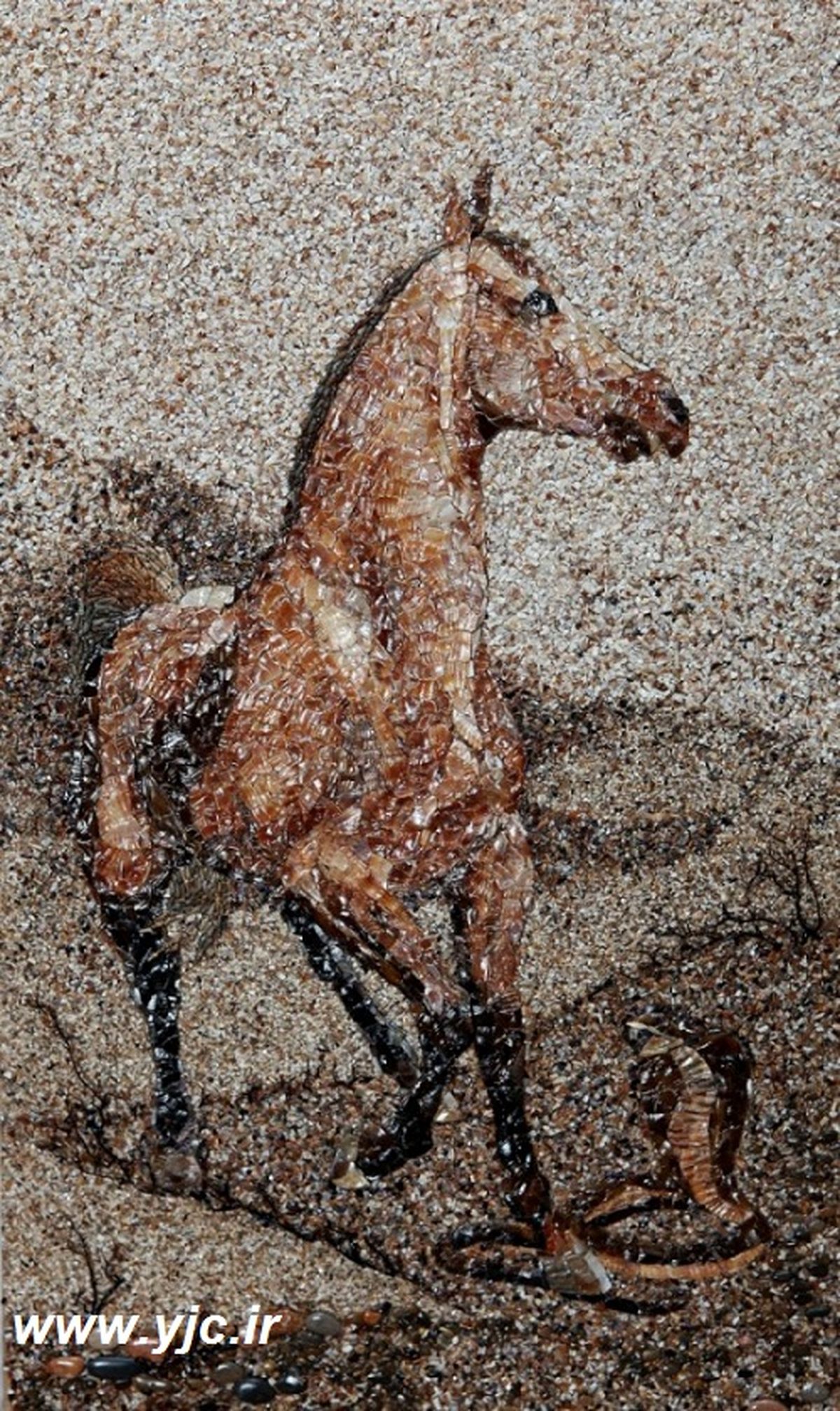 هنرنمایی با شن و صدف / تصاویر