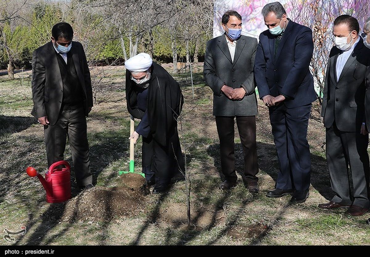 تصاویر: کاشت یک اصله نهال توسط روحانی