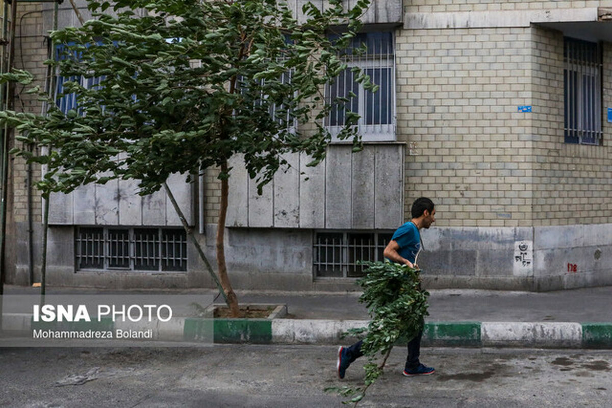 آماده‌باش در شهر تهران 