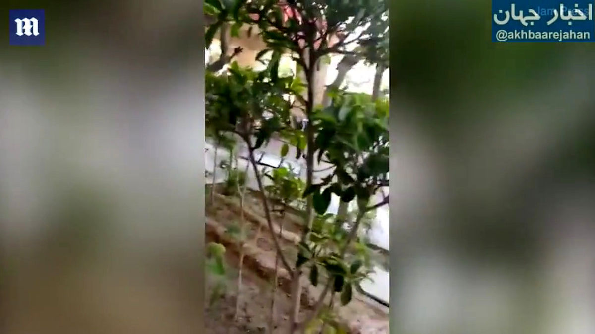 حمله بستگان فوتی های کرونا در هند به بیمارستان +فیلم