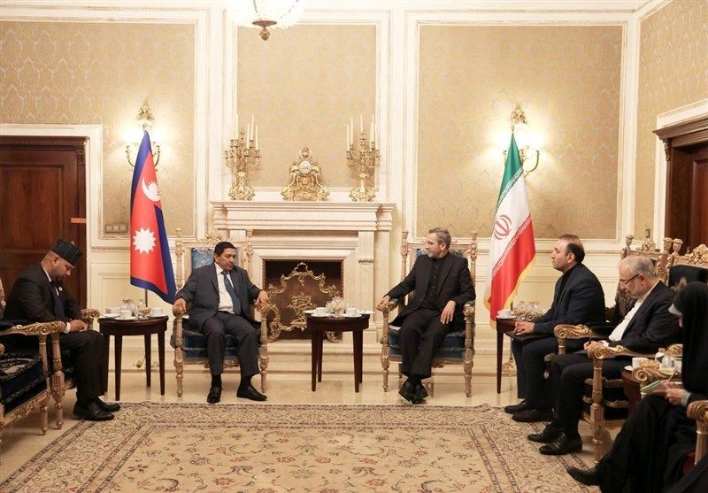 دیدار معاون نخست وزیر نپال با علی باقری