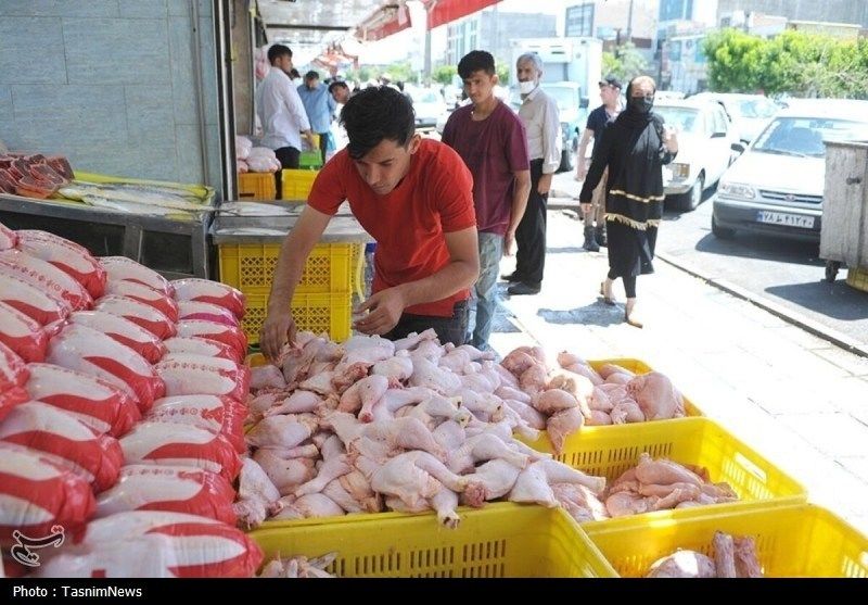 قیمت مرغ شوکه کننده گران شد | قیمت مرغ در بازار خرده‌فروشی 