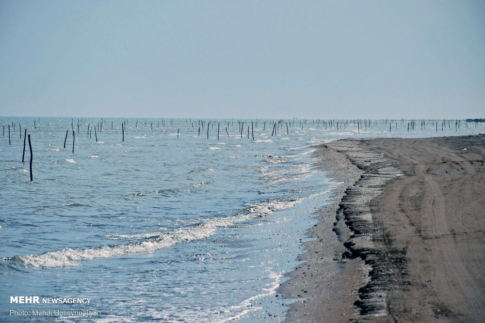 تصاویر: تورهای غیرمجاز ماهیگیری در آستارا 