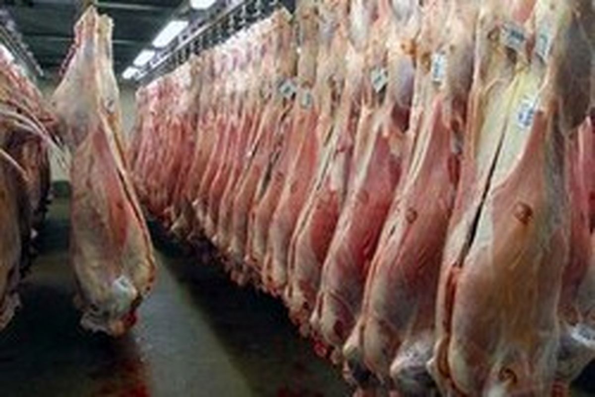 هشدار درباره احتمال وقوع تب کریمه کنگو