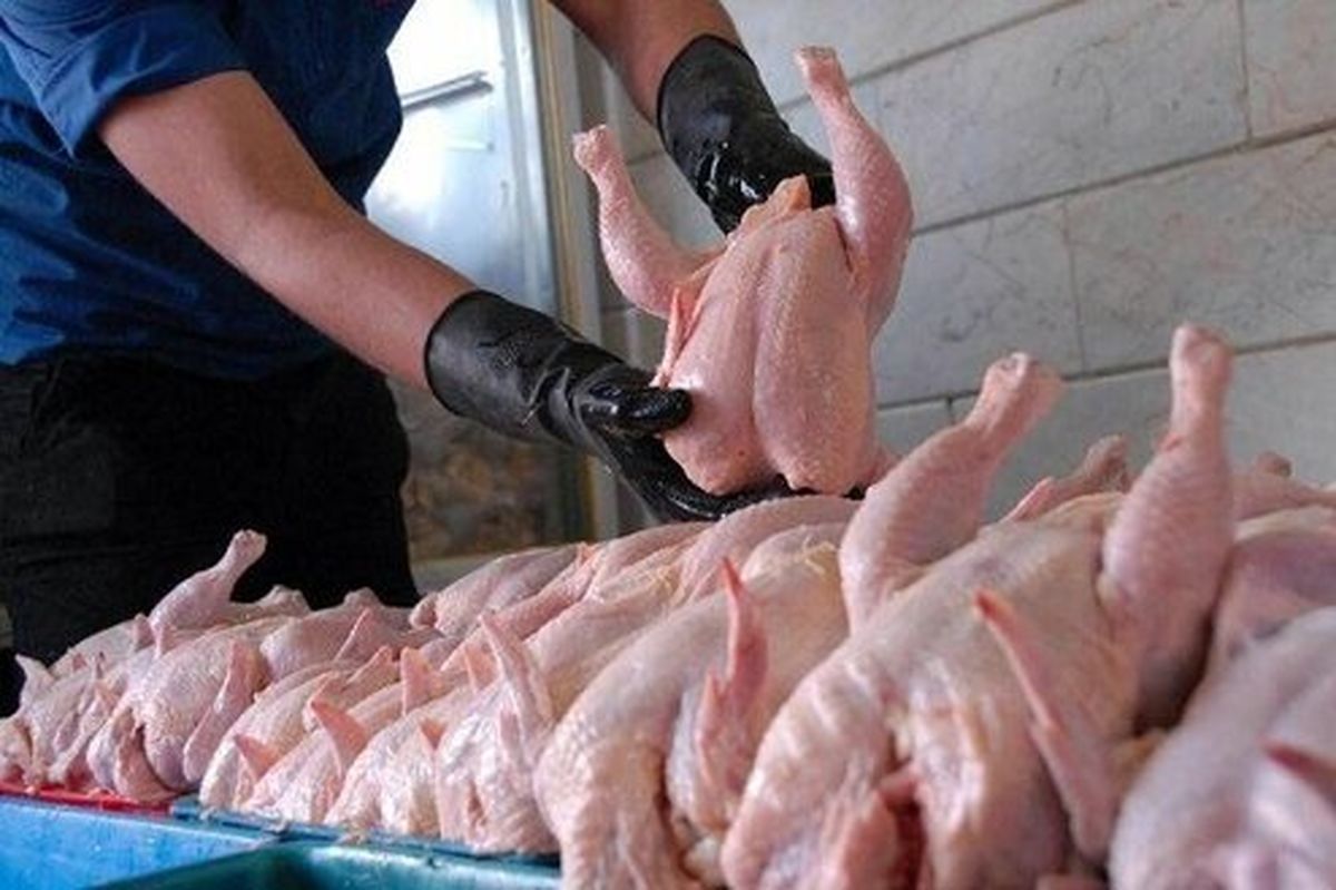 جدیدترین قیمت مرغ و بوقلمون در میادین میوه و تره بار