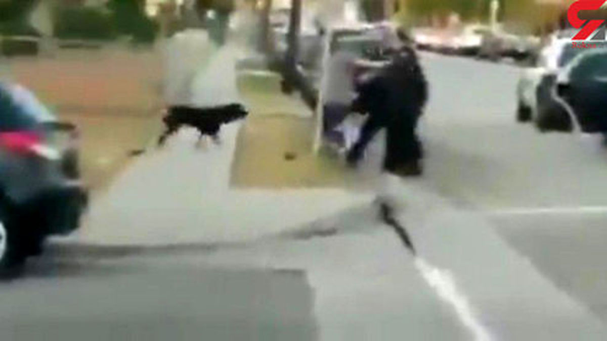 قتل وحشیانه سگ/این فیلم کاربران اینترنتی را شوکه کرد