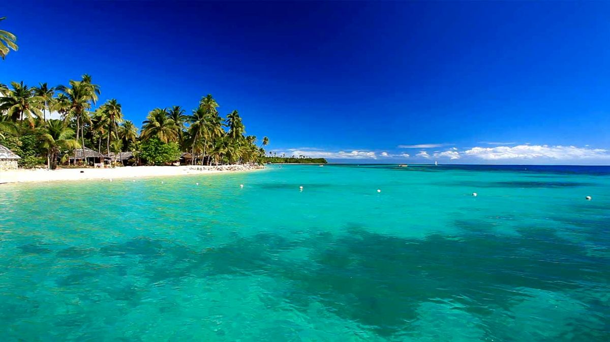 استفاده از تکنولوژی سامتیک