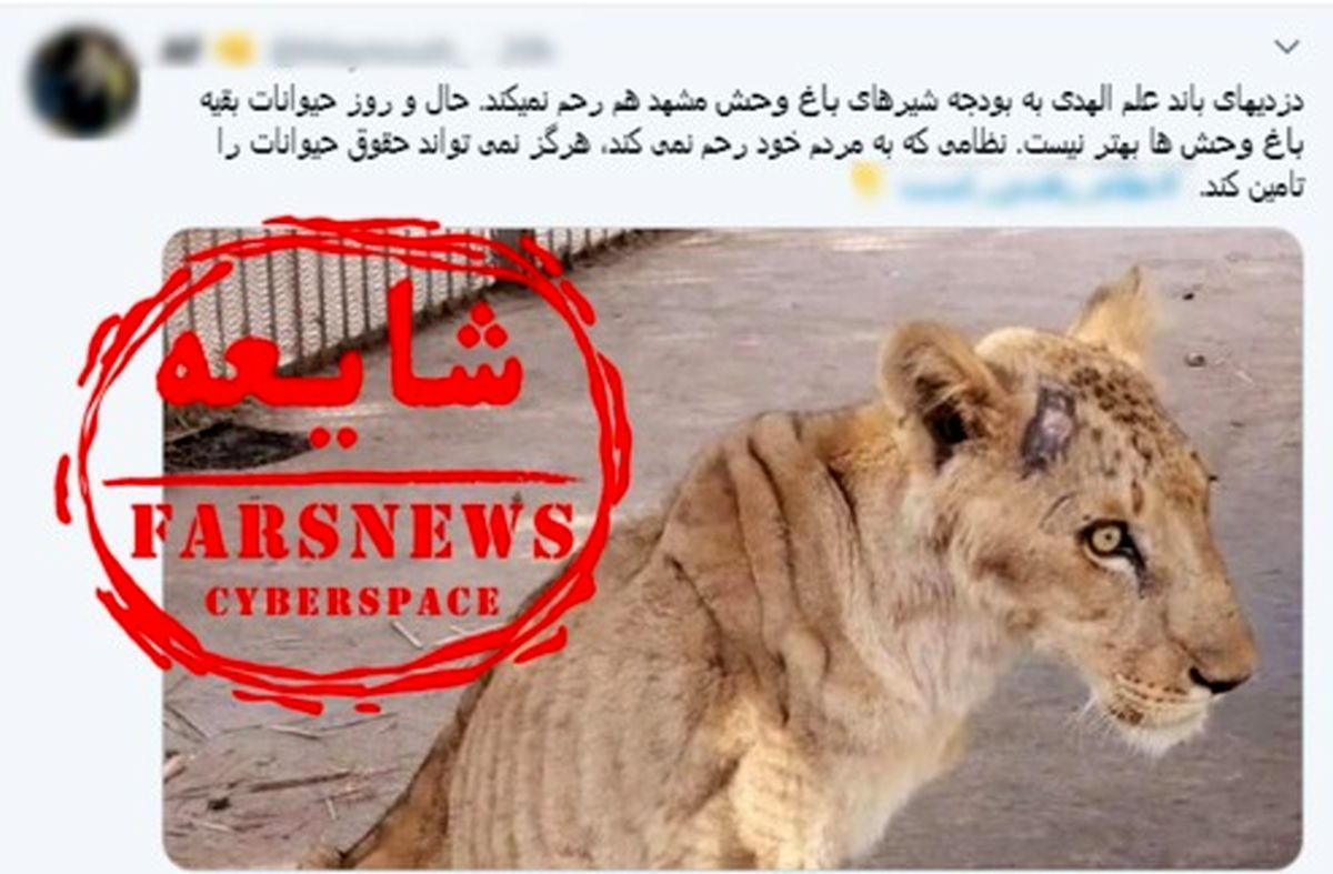 شایعهپراکنان شیرها را از سودان به مشهد آوردند +تصاویر