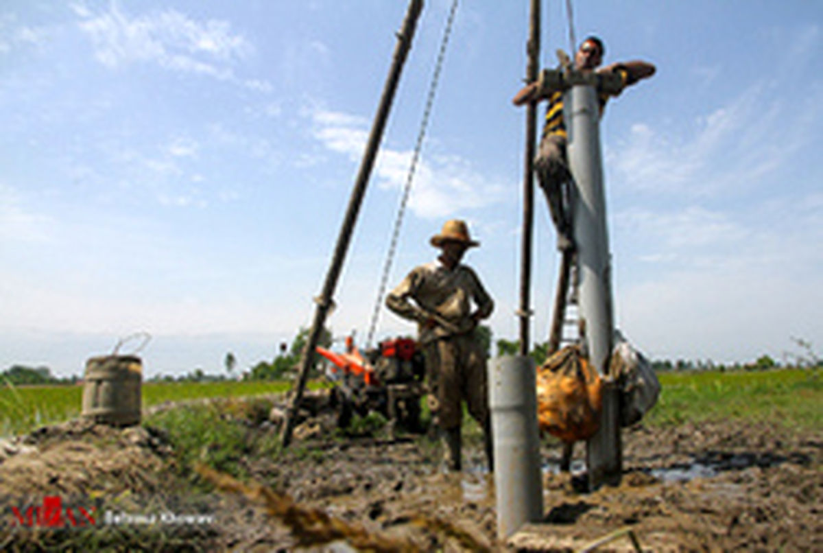 تصاویر: زنگ خطر خشکسالی در شالیزارهای مازندارن