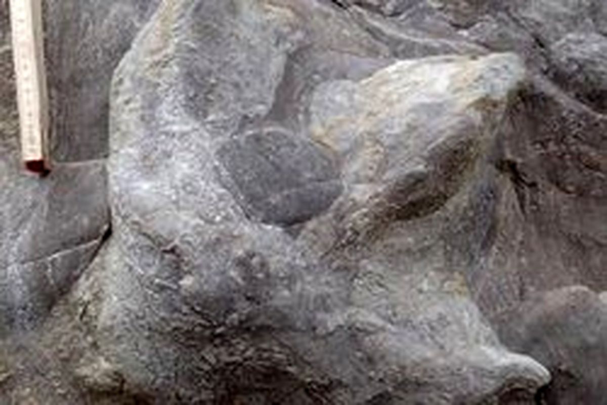 توفان جای پای ۱۰۰ میلیون ساله دایناسورها را رو کرد +عکس