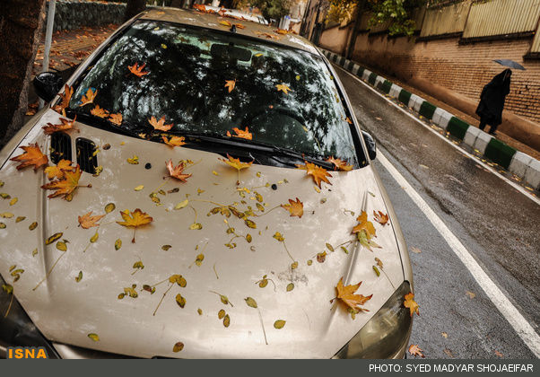 حال و هوای پاییزی تهران/تصاویر