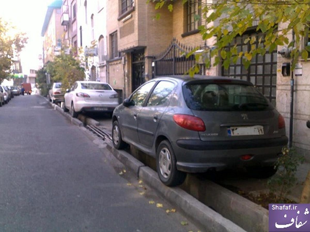 عکس/ آخرين راه حل براي پارک در تهران!