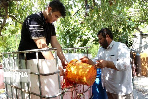 تصاویر: پخت سنتی رب در ارومیه