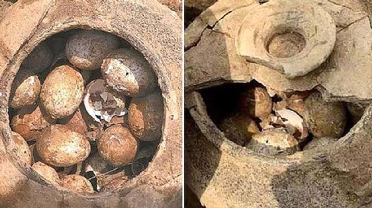 تخم مرغ‌های عجیب در قبر ۱۵۰۰ ساله +تصاویر