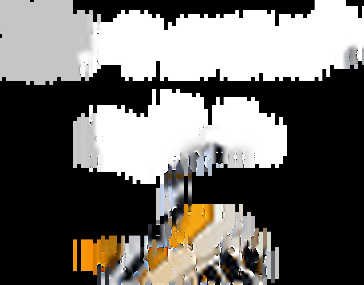 روایت «خط بیداری» از پایداری فاطمی تا بیداری اسلامی