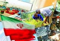 اجرای برنامه‌های دولت در حوزه اشتغال شتاب می‌گیرد؟