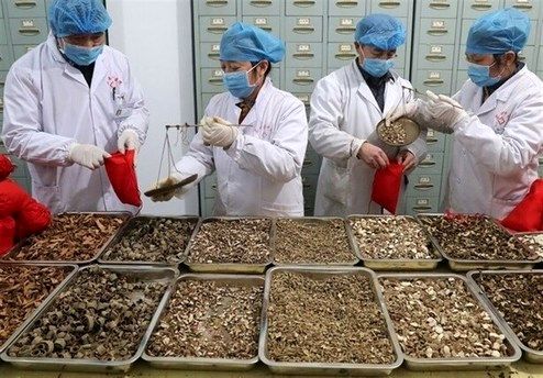 چند نکته درباره «کرونا» از نگاه طب سنتی
