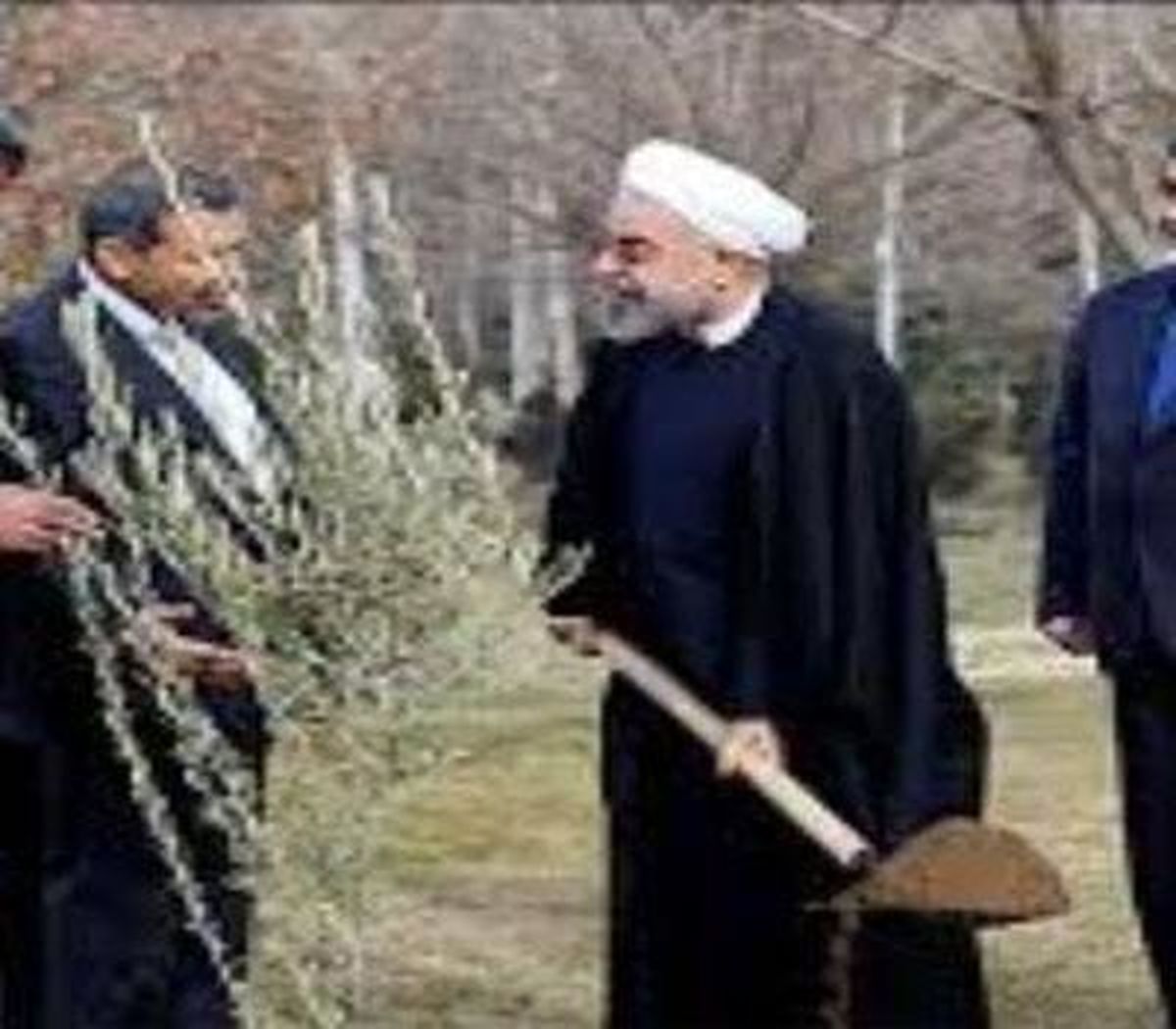 رئیس جمهور درخت گردو کاشت/عکس