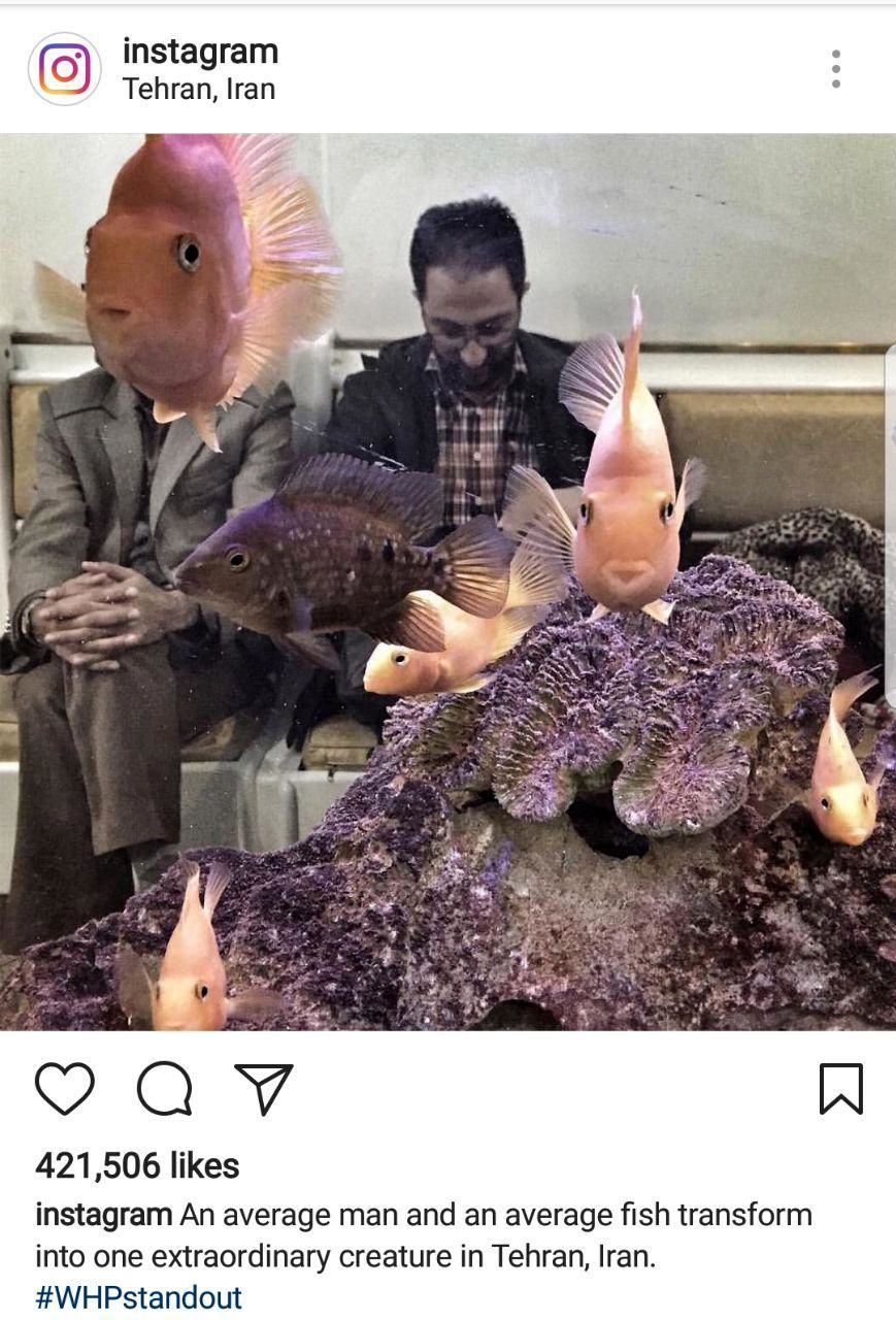 تصویر جالب یک ایرانی، برگزیده اینستاگرام شد +عکس