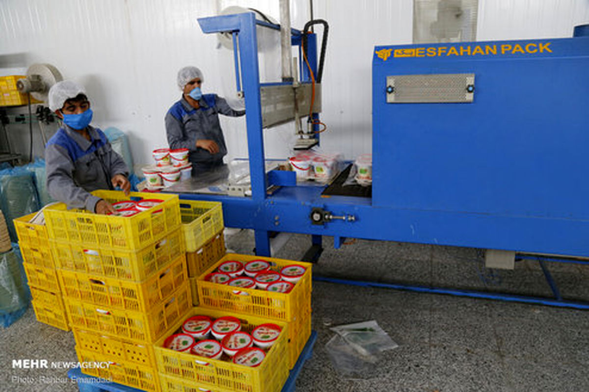 تصاویر: کارخانه کوچک تولید لبنیات در ایران