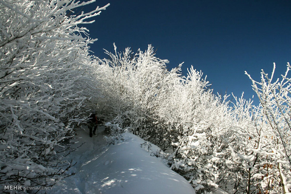 تصاویری زیبا از طبیعت زمستانی اردبیل