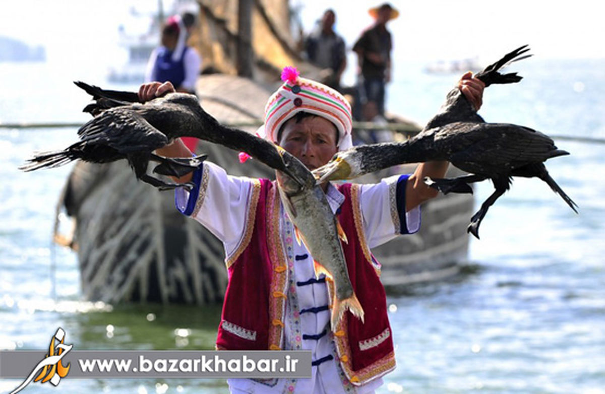 دعوا بر سر صید!/عکس