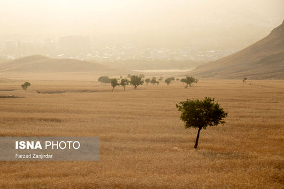 تصاویر: دره «گردو» اراک