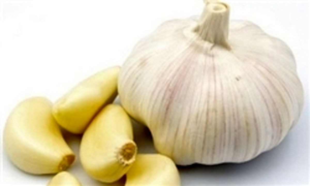 سیر چینی هم به بازار آمد