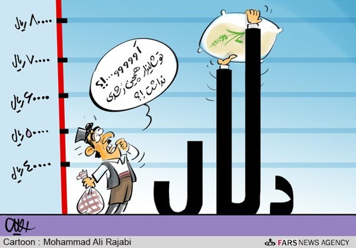 رشد قیمت برنج ...! / کاریکاتور