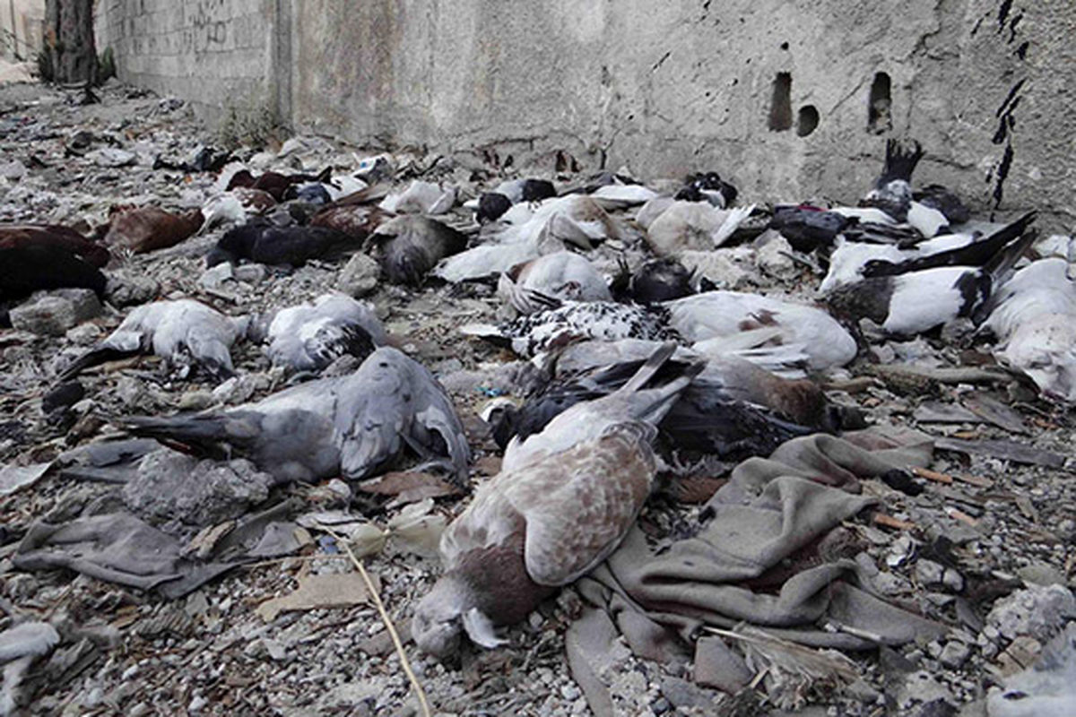 عکس/ بدون شرح